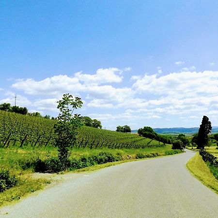 Centralissimo Nel Cuore Del Borgo Suvereto Kültér fotó