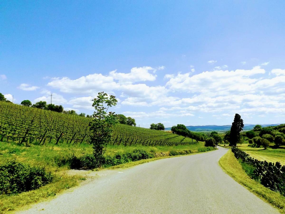 Centralissimo Nel Cuore Del Borgo Suvereto Kültér fotó
