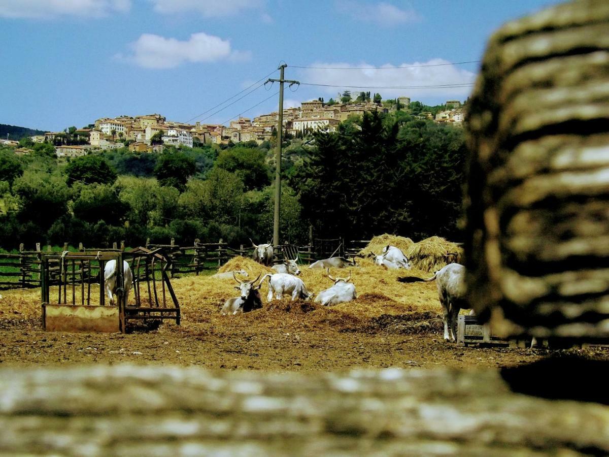 Centralissimo Nel Cuore Del Borgo Suvereto Kültér fotó